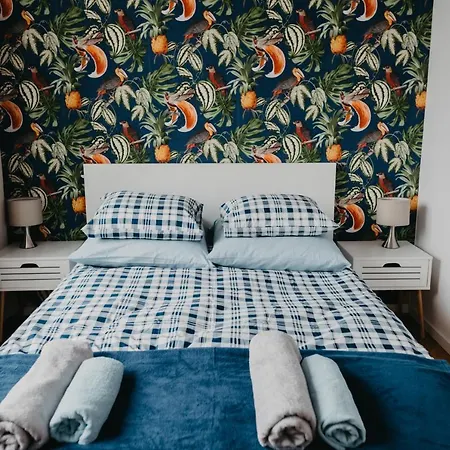 Jeleni Zakatek - W Stolicy Karkonoszy * Jelenia Góra