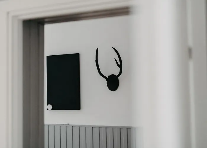 Jeleni Zakatek - W Stolicy Karkonoszy